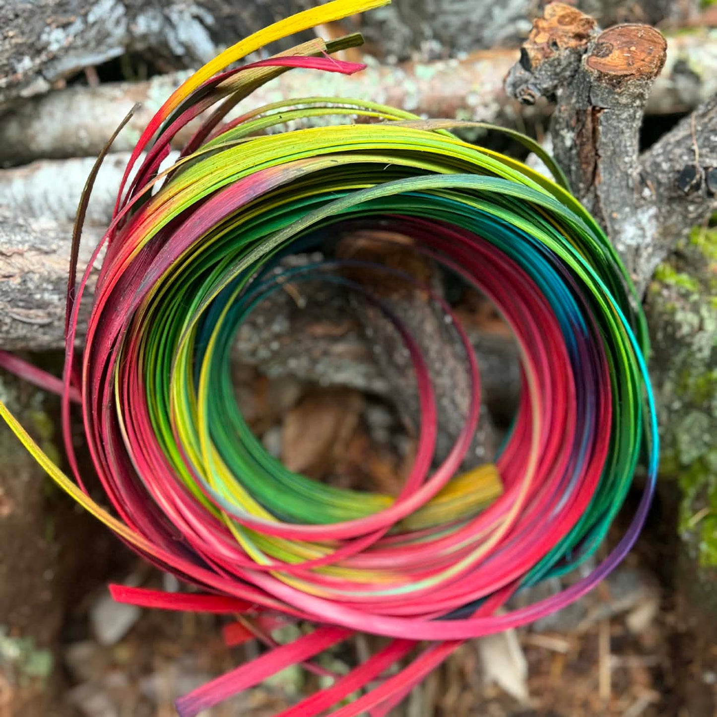 1/2" Rainbow Reed One Pound