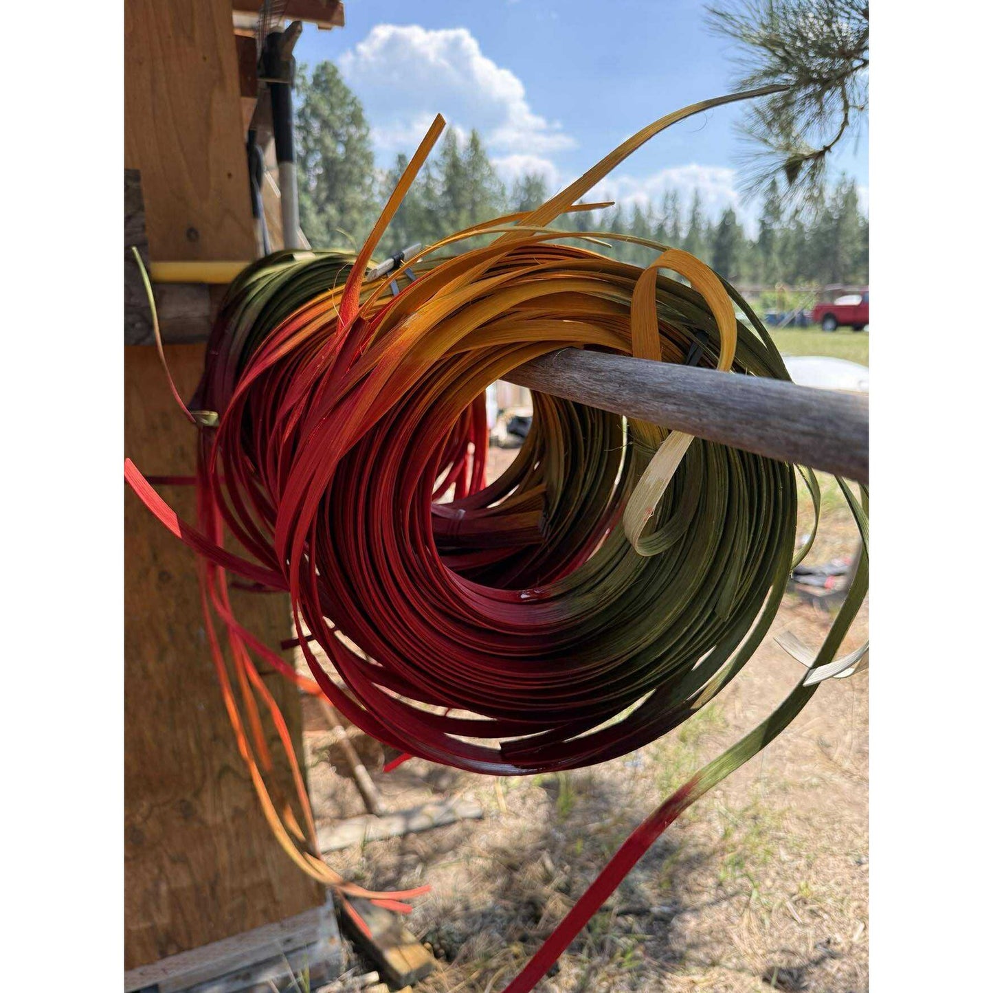 MACINTOSH spice space dyed reed