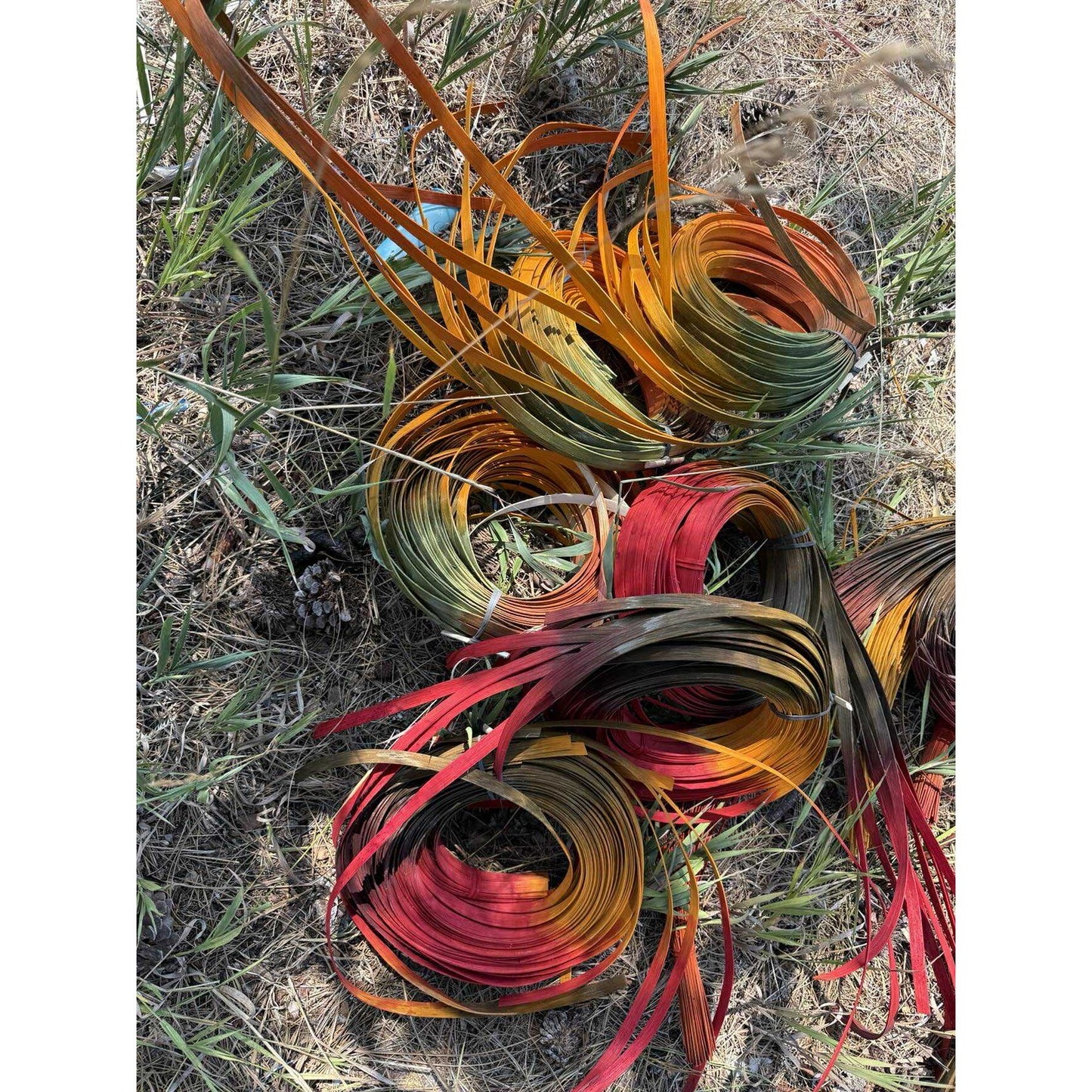 HARVEST space dyed reed – J Choate Basketry
