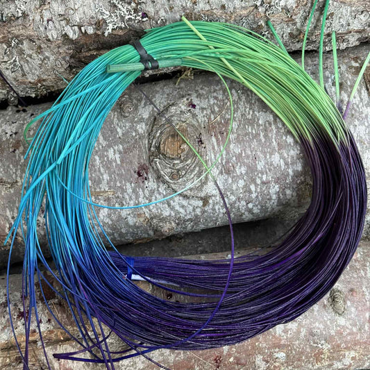 Aurora 2.55 Hamburg Cane One Pound
