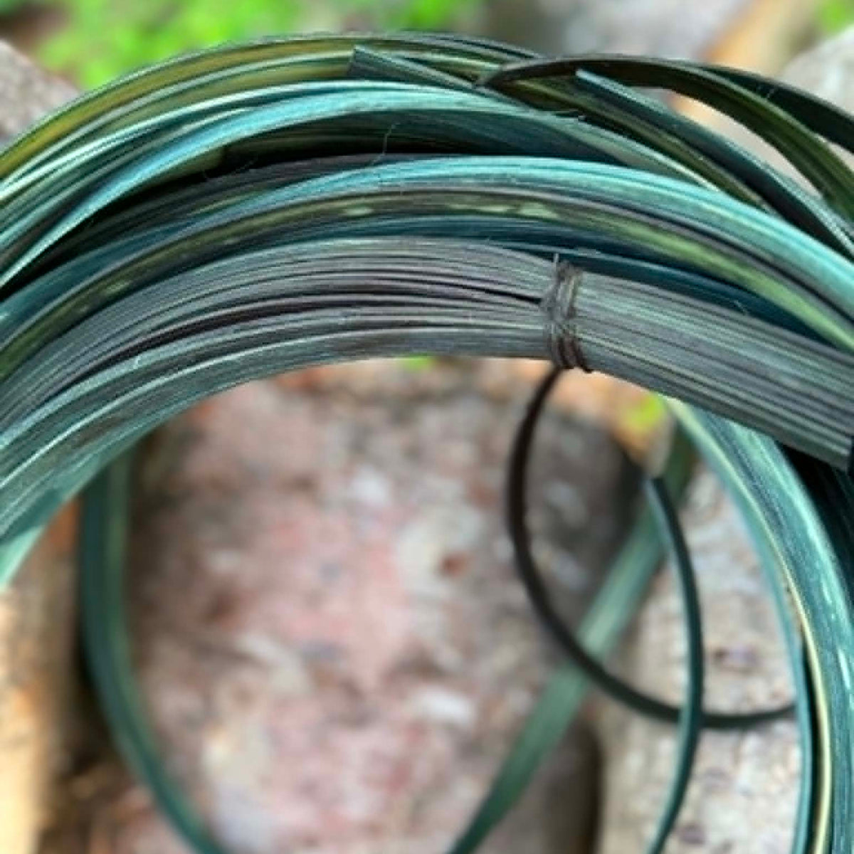 DYE HOUSE ROCKS: Evergreen 1/4" FO Reed One Pound