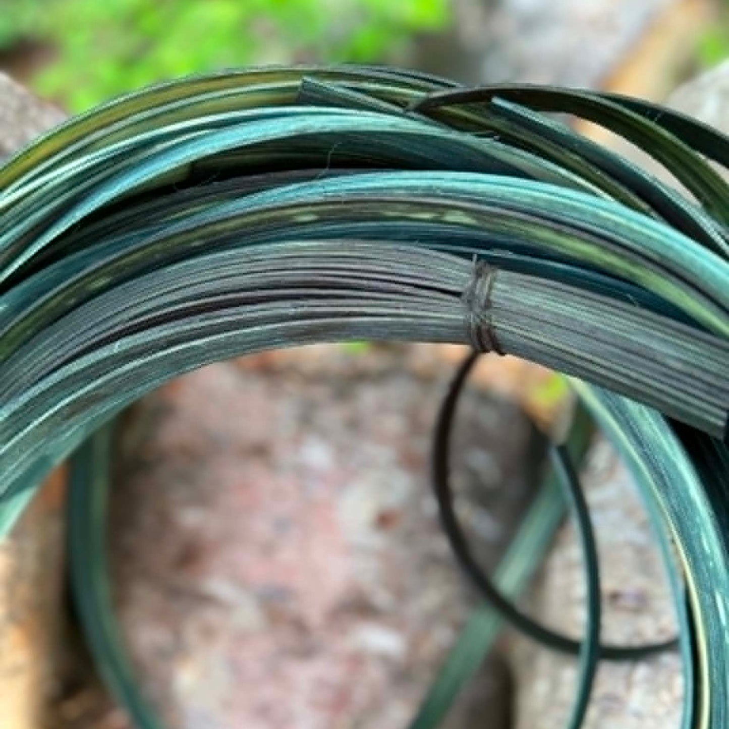 DYE HOUSE ROCKS: Evergreen 1/2" Reed