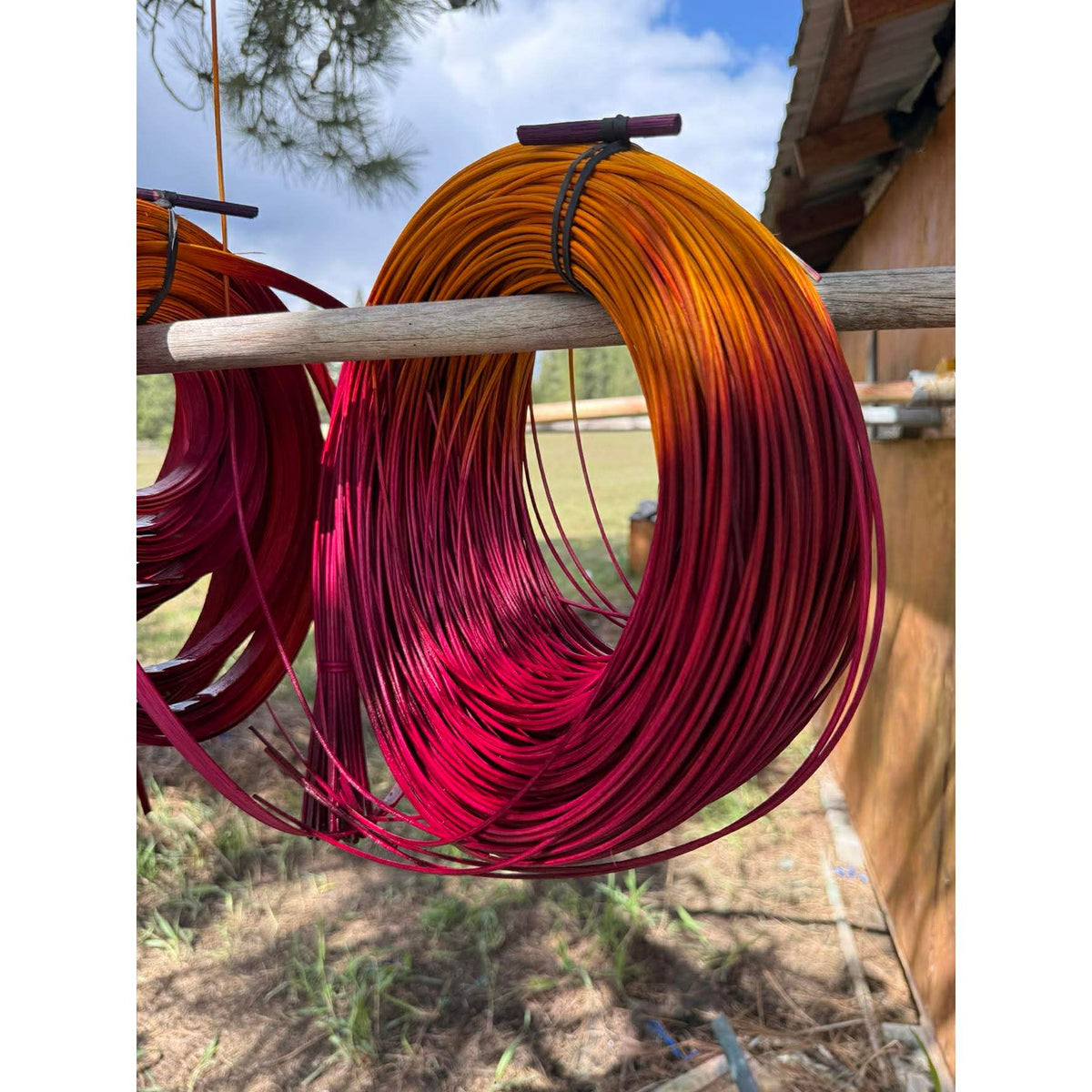 DYE HOUSE ROCKS:  WILD ROSE