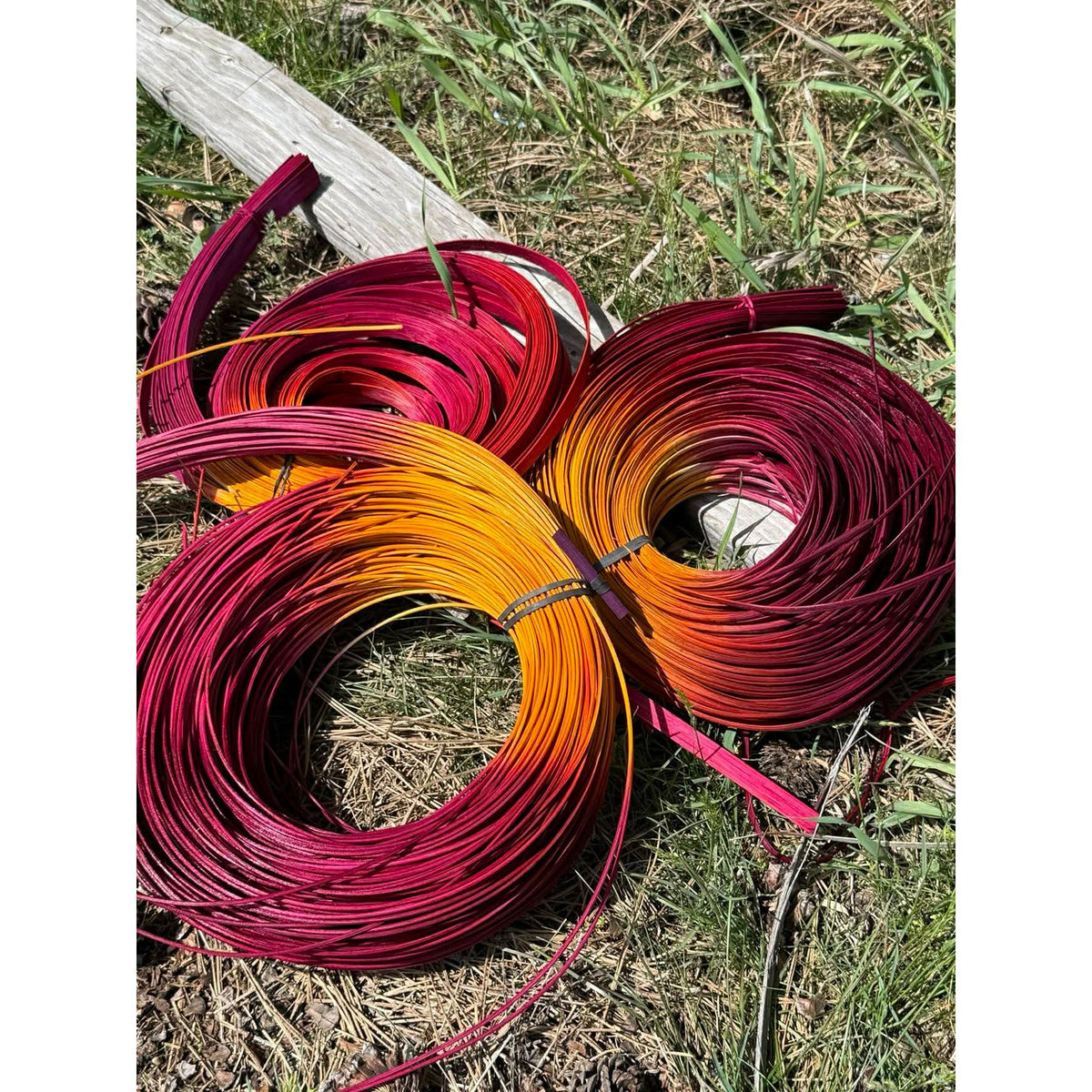 DYE HOUSE ROCKS:  WILD ROSE