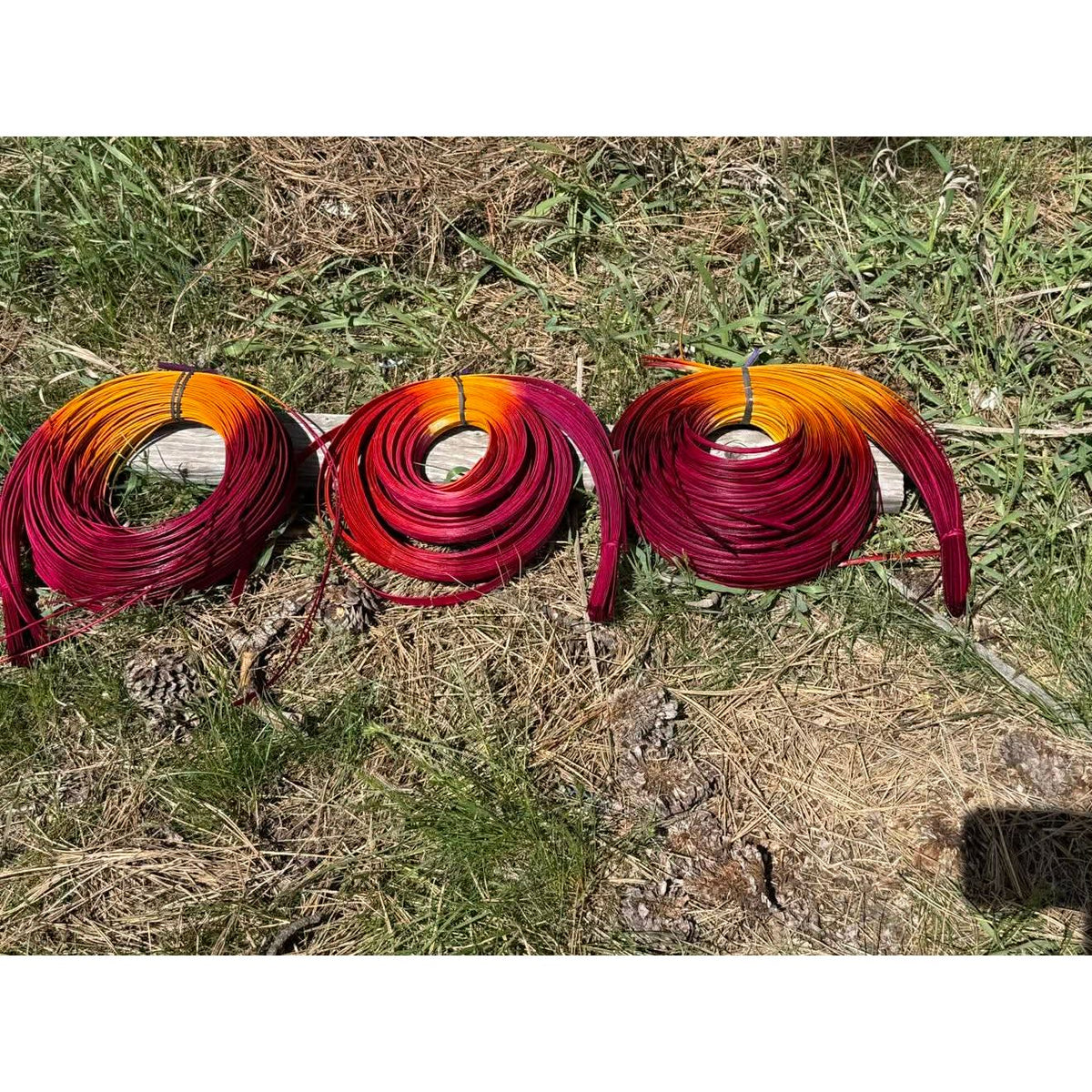 DYE HOUSE ROCKS:  WILD ROSE
