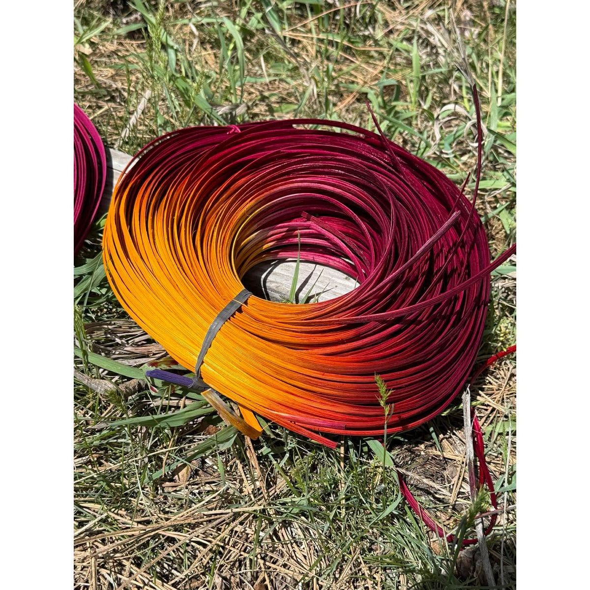 DYE HOUSE ROCKS:  WILD ROSE