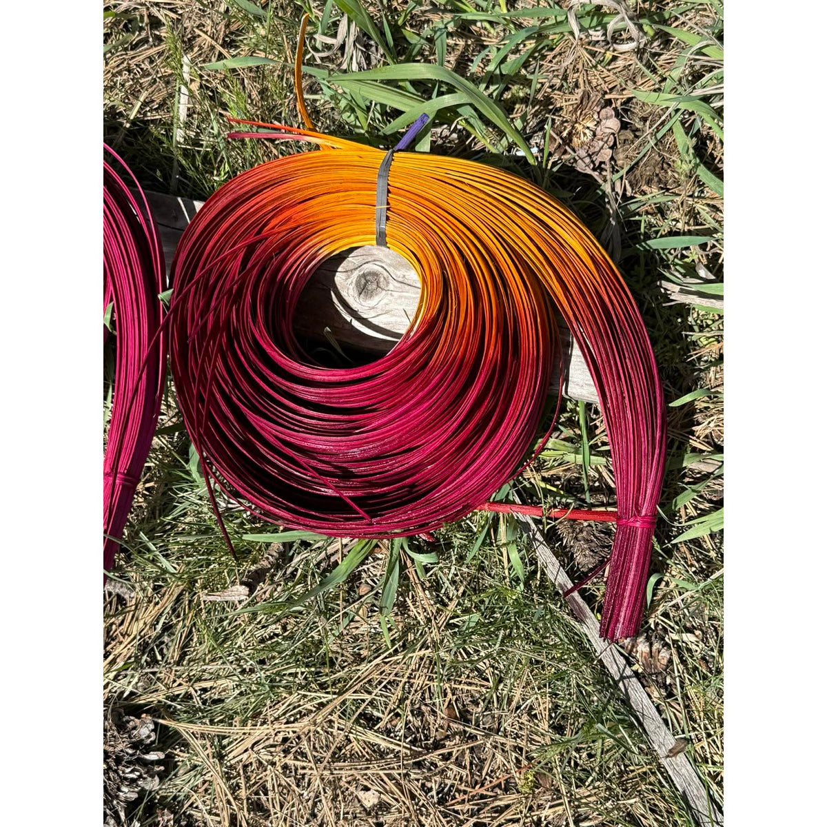 DYE HOUSE ROCKS:  WILD ROSE