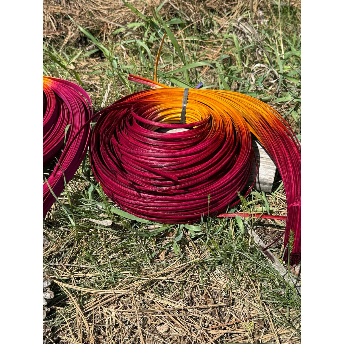 DYE HOUSE ROCKS:  WILD ROSE