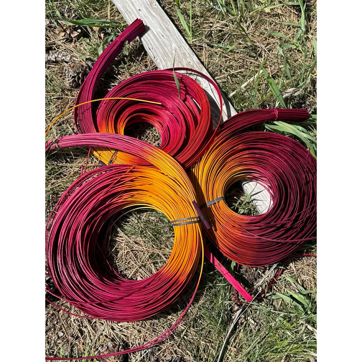 DYE HOUSE ROCKS:  WILD ROSE