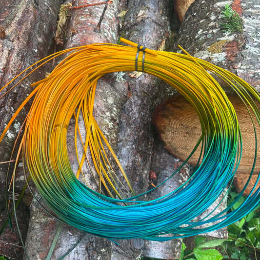DYE HOUSE ROCKS: San Diego Sunrise Hamburg Cane One Coil