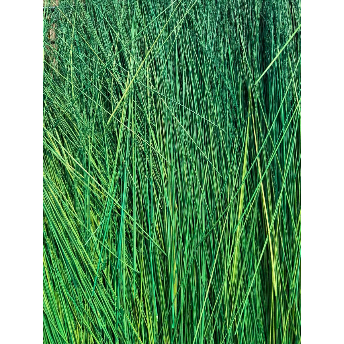 BADASS DYED BROOMCORN