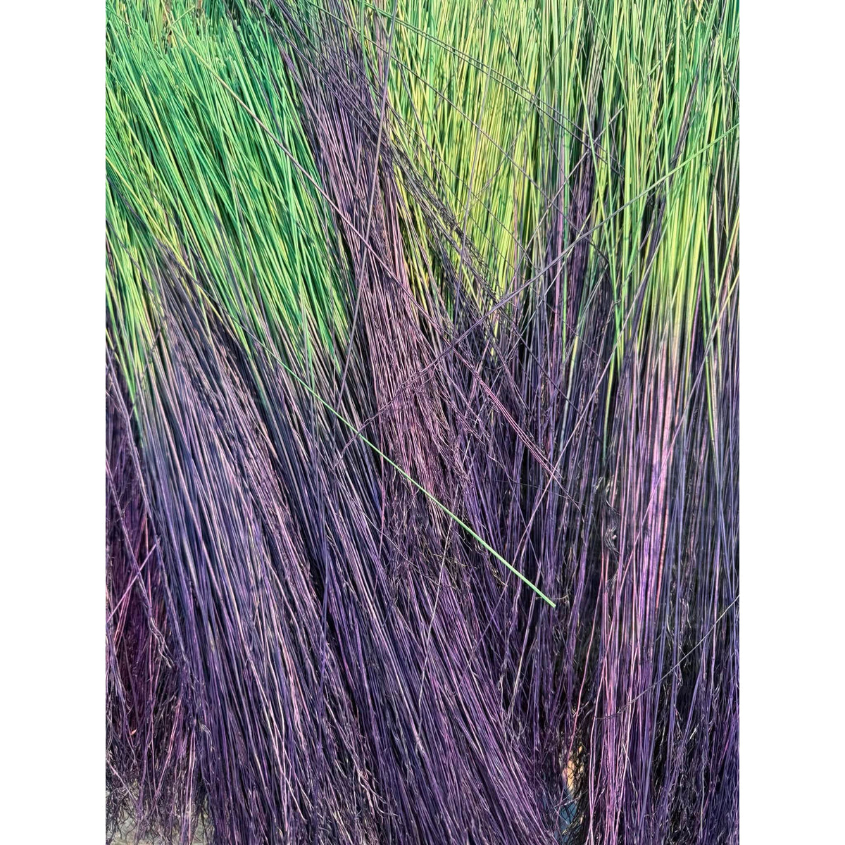 BADASS DYED BROOMCORN