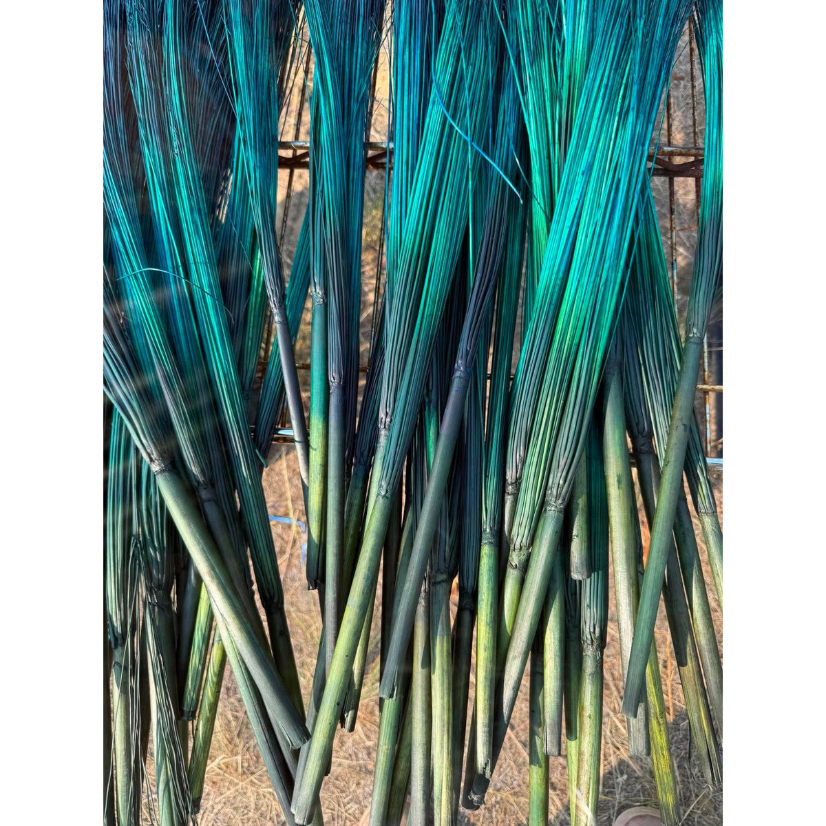 BADASS DYED BROOMCORN
