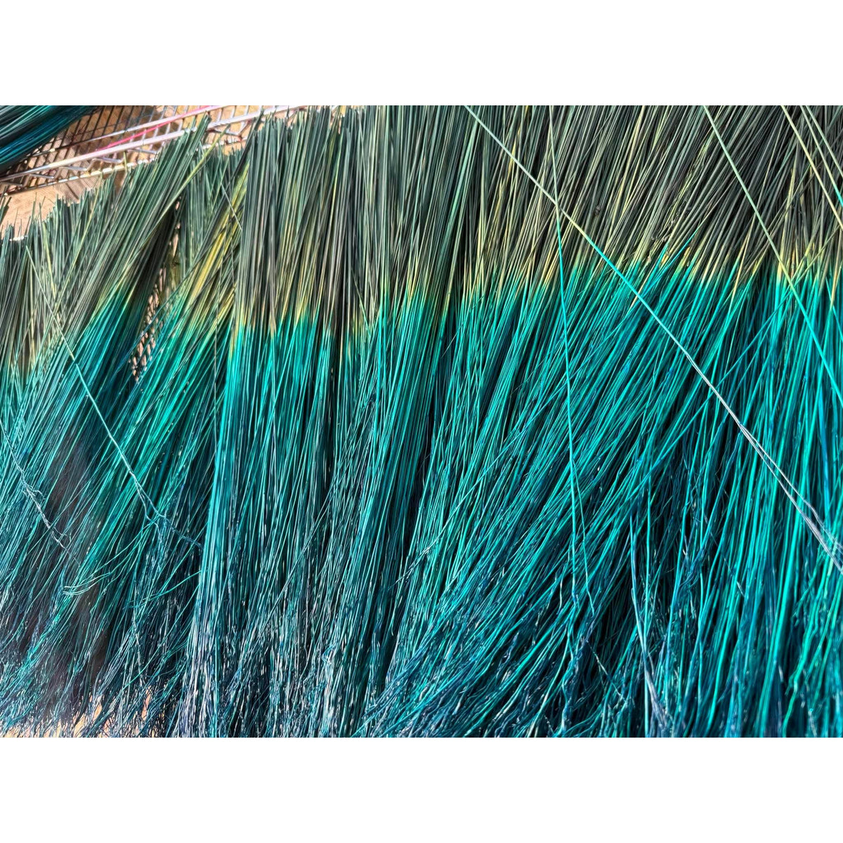 BADASS DYED BROOMCORN