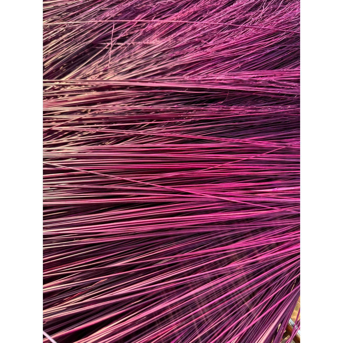 BADASS DYED BROOMCORN