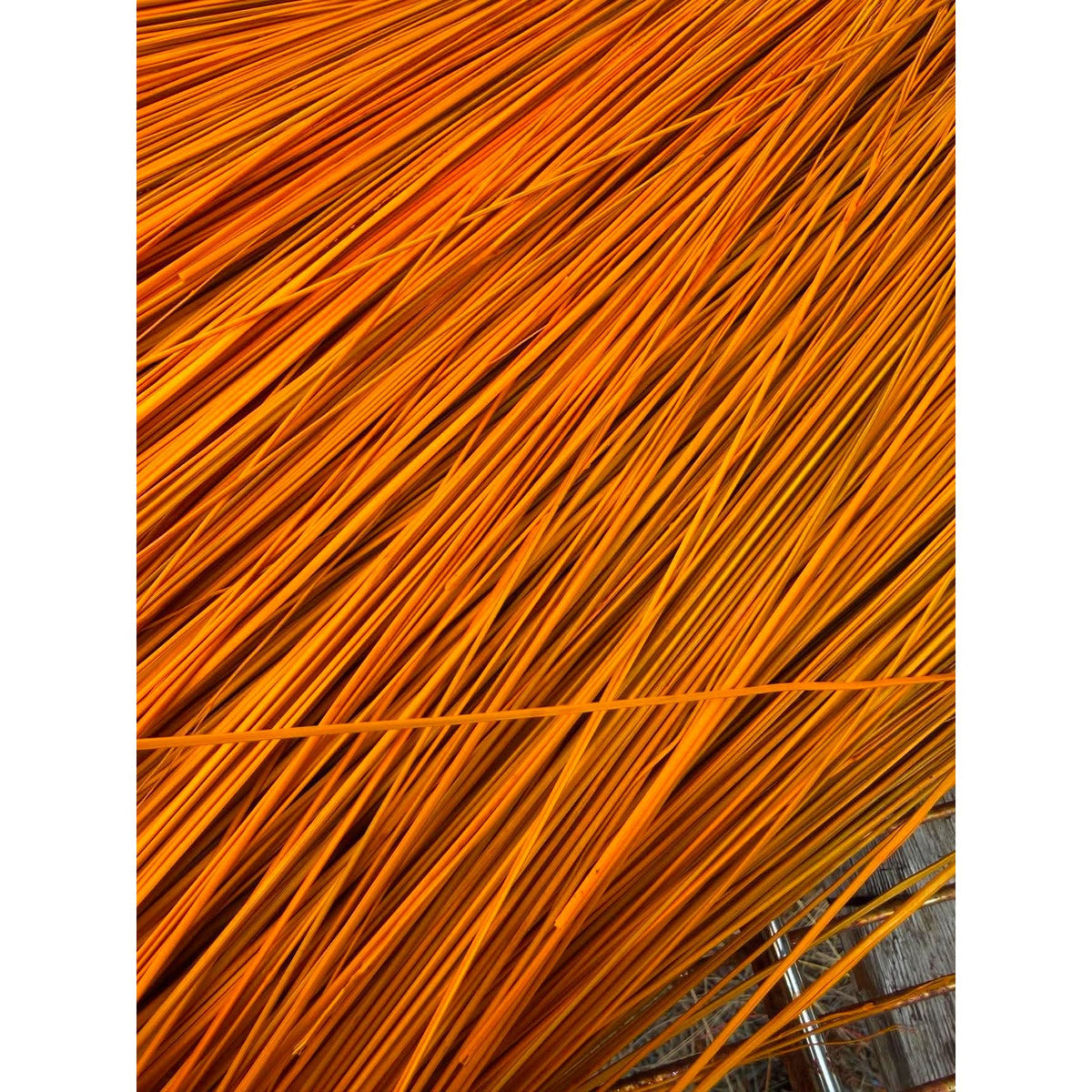 BADASS DYED BROOMCORN