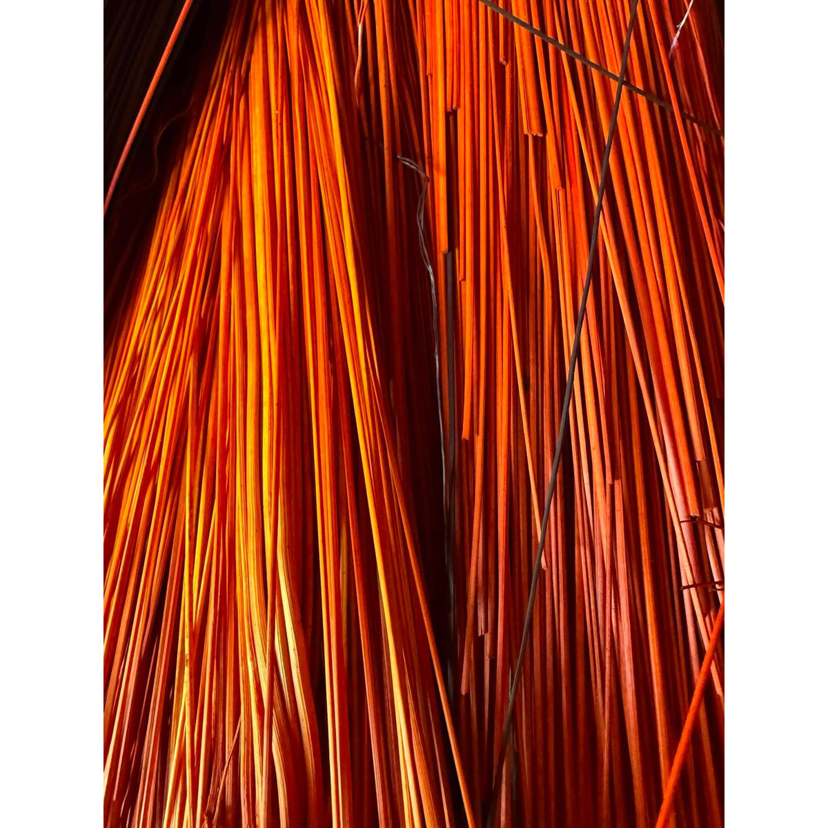 BADASS DYED BROOMCORN