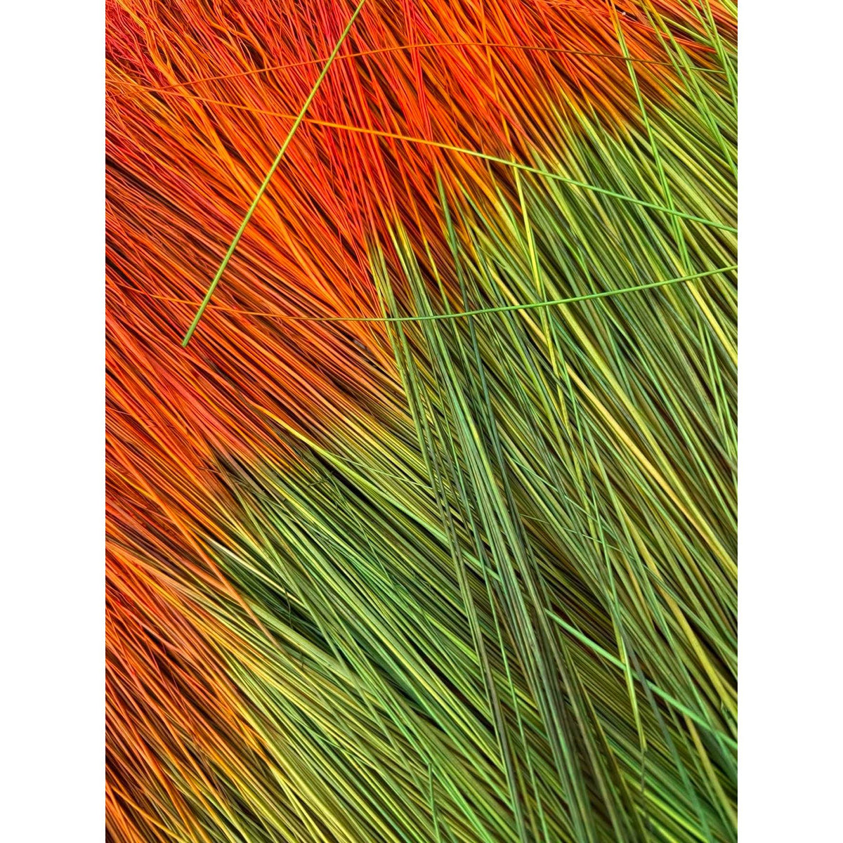 BADASS DYED BROOMCORN