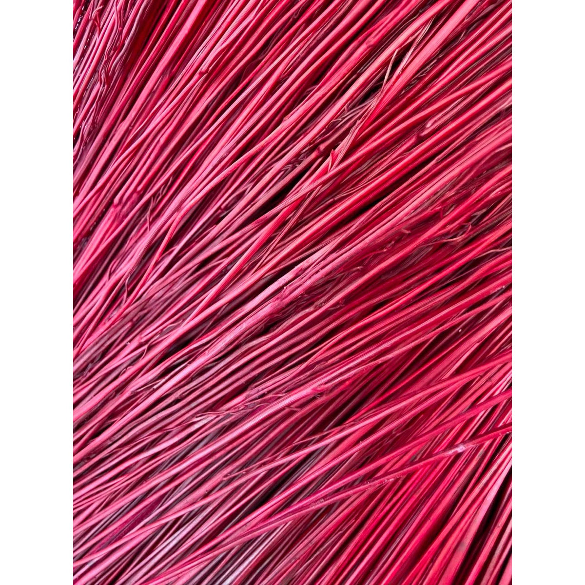 BADASS DYED BROOMCORN