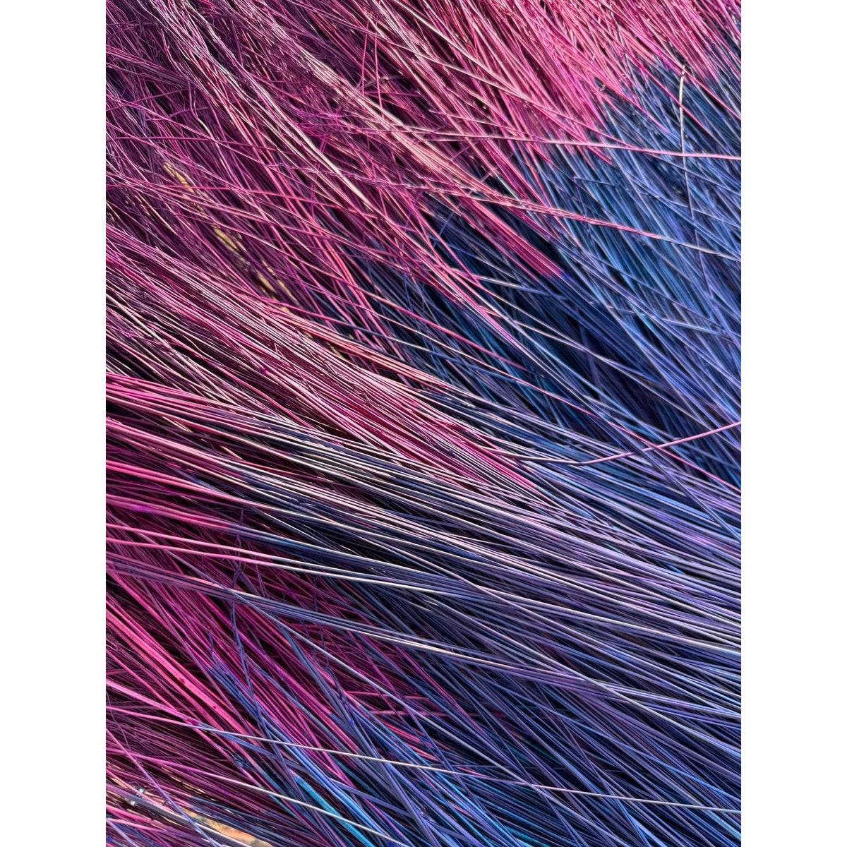 BADASS DYED BROOMCORN