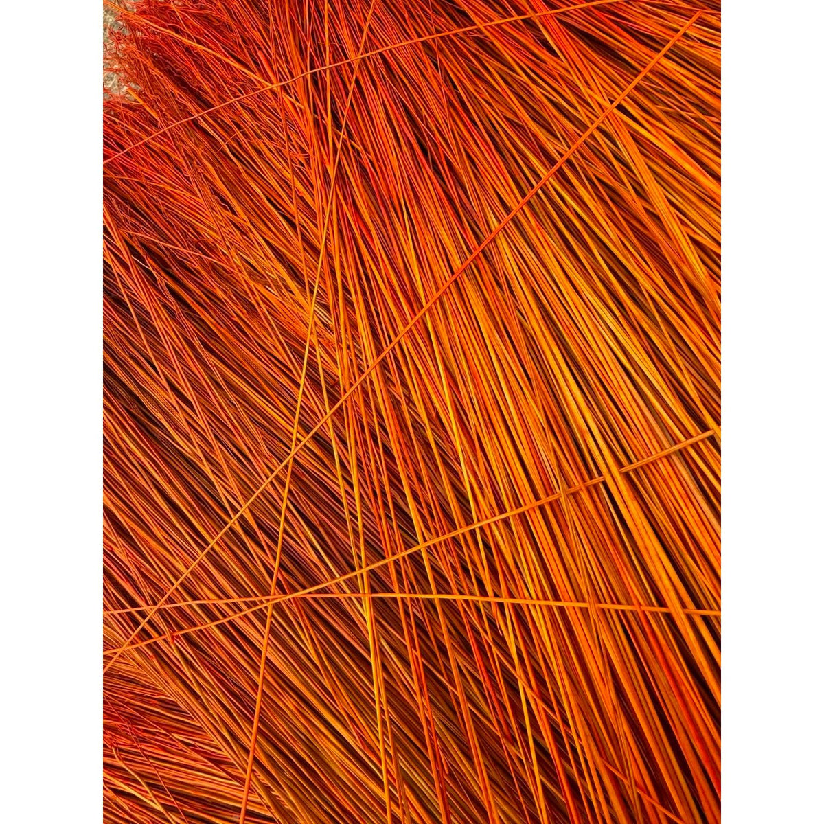 BADASS DYED BROOMCORN