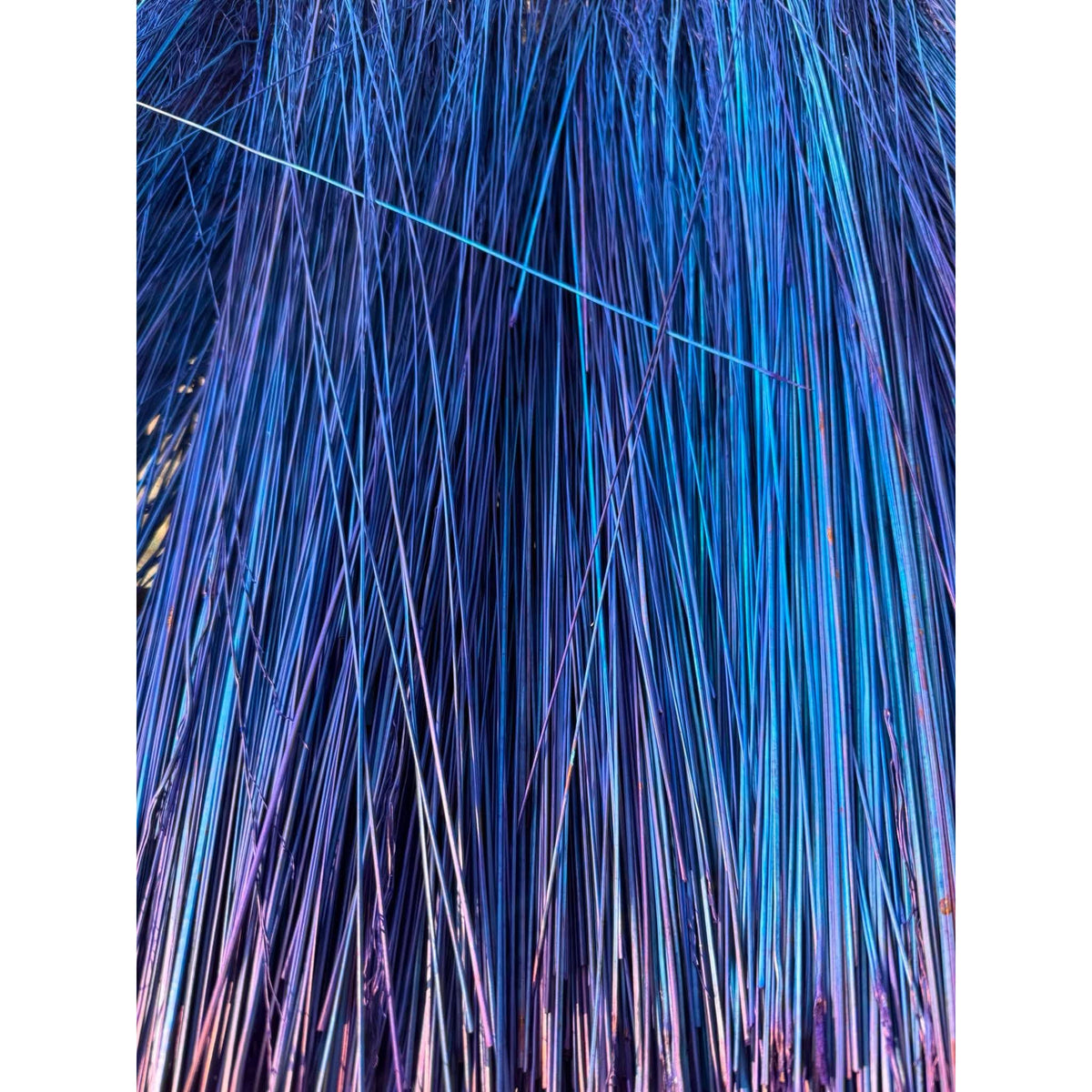 BADASS DYED BROOMCORN
