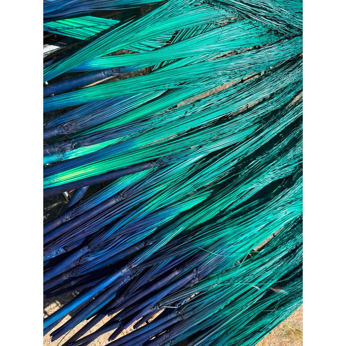 BADASS DYED BROOMCORN