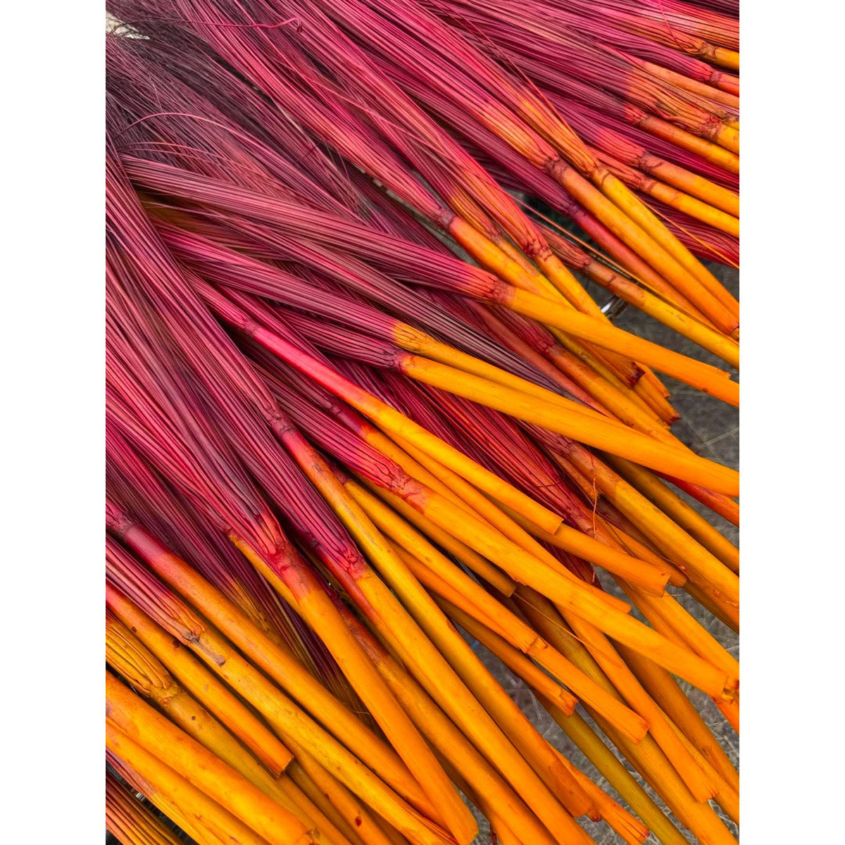 BADASS DYED BROOMCORN