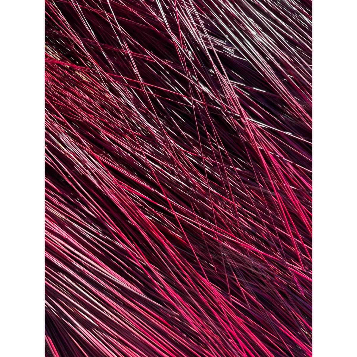 BADASS DYED BROOMCORN