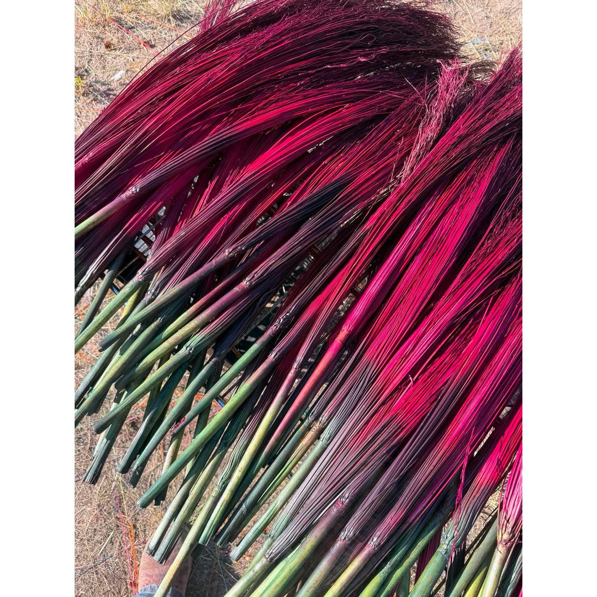BADASS DYED BROOMCORN