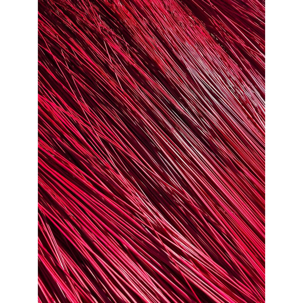 BADASS DYED BROOMCORN