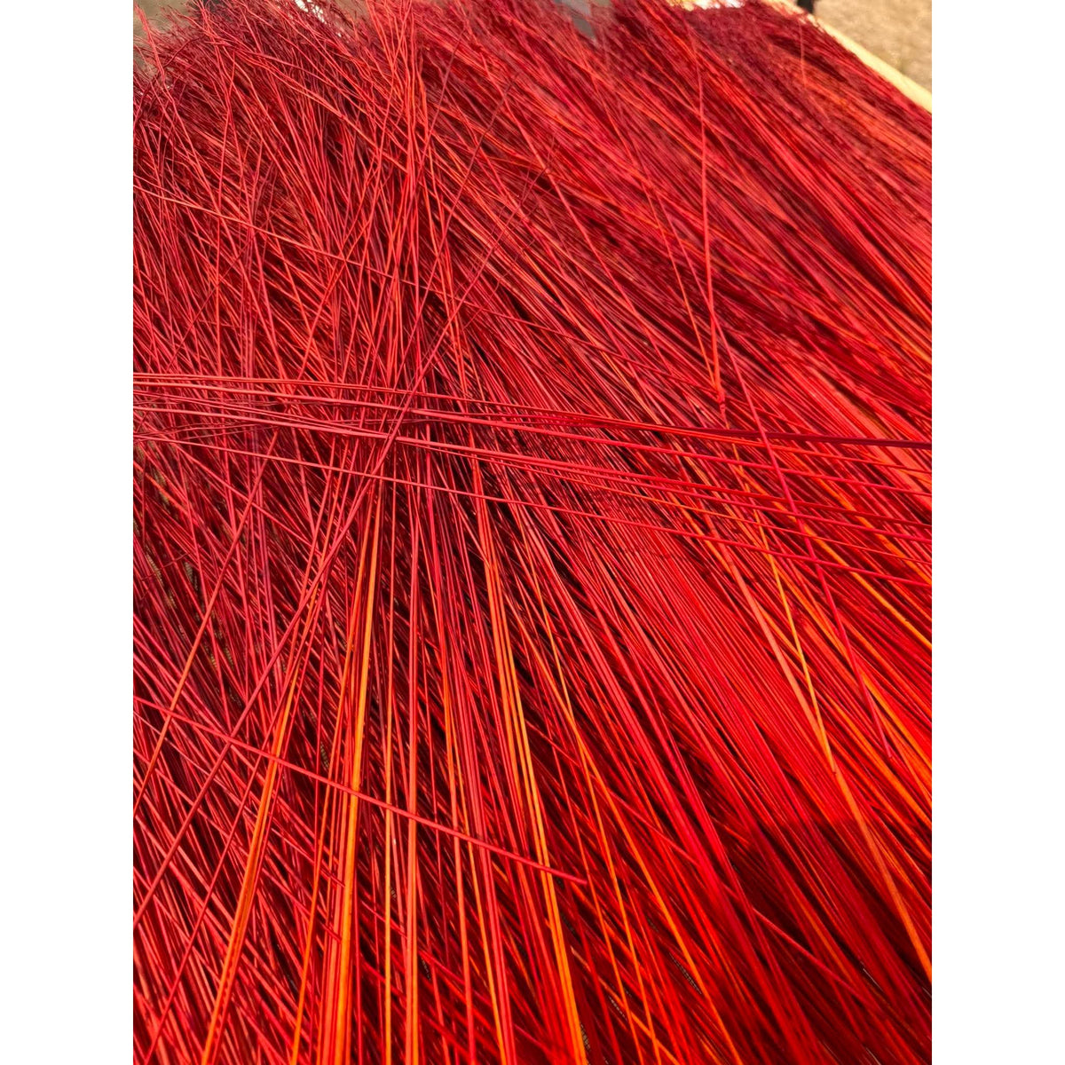 BADASS DYED BROOMCORN