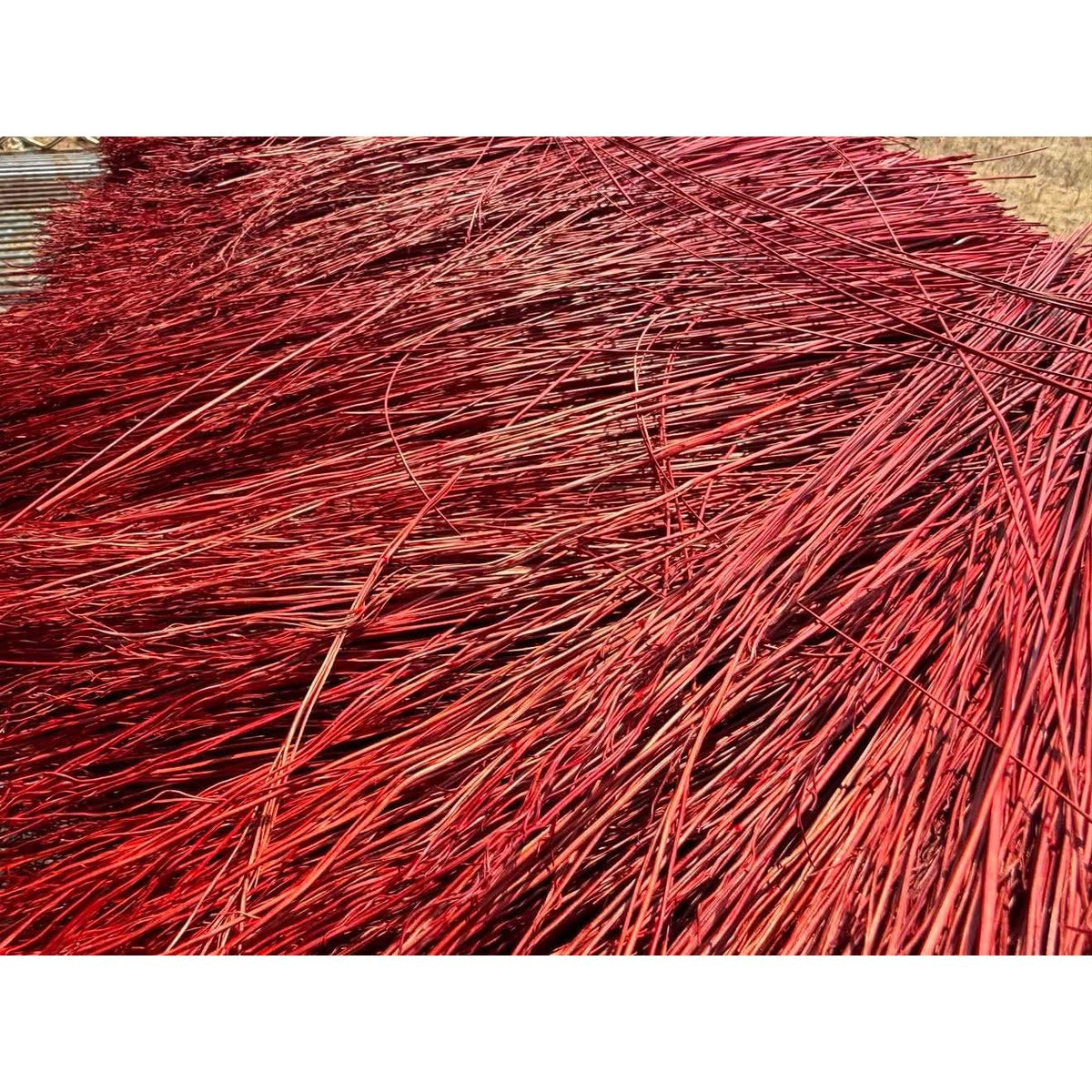 BADASS DYED BROOMCORN
