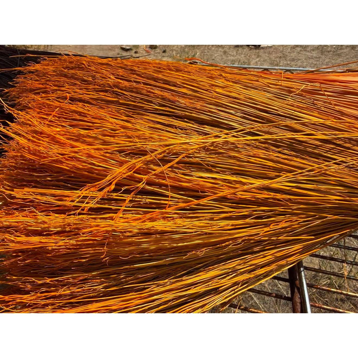 BADASS DYED BROOMCORN
