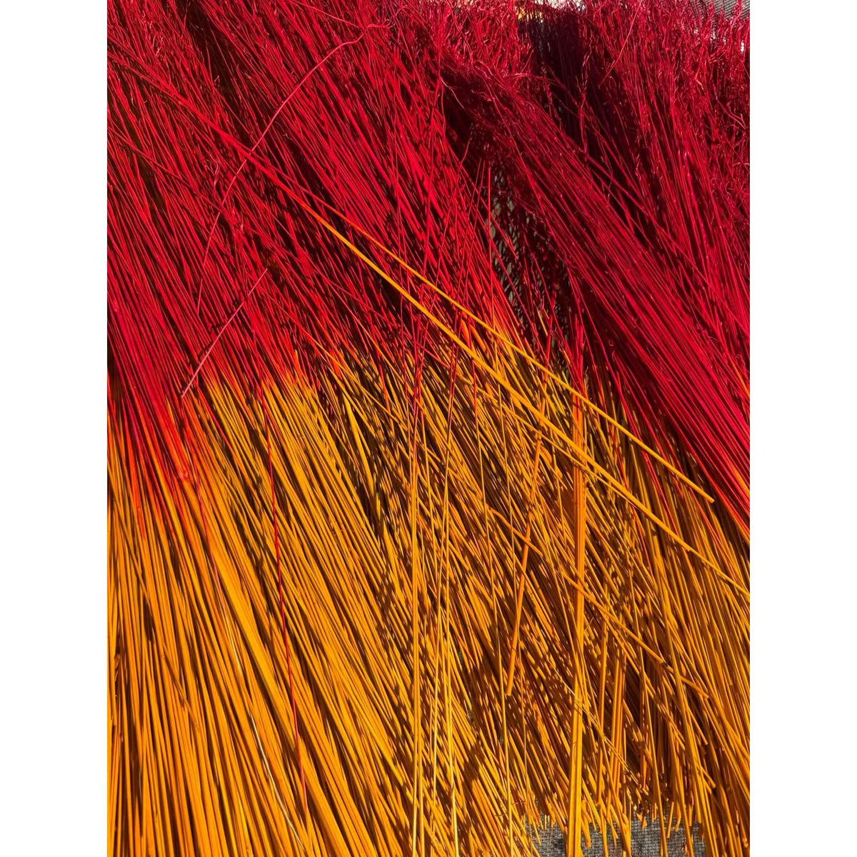 BADASS DYED BROOMCORN