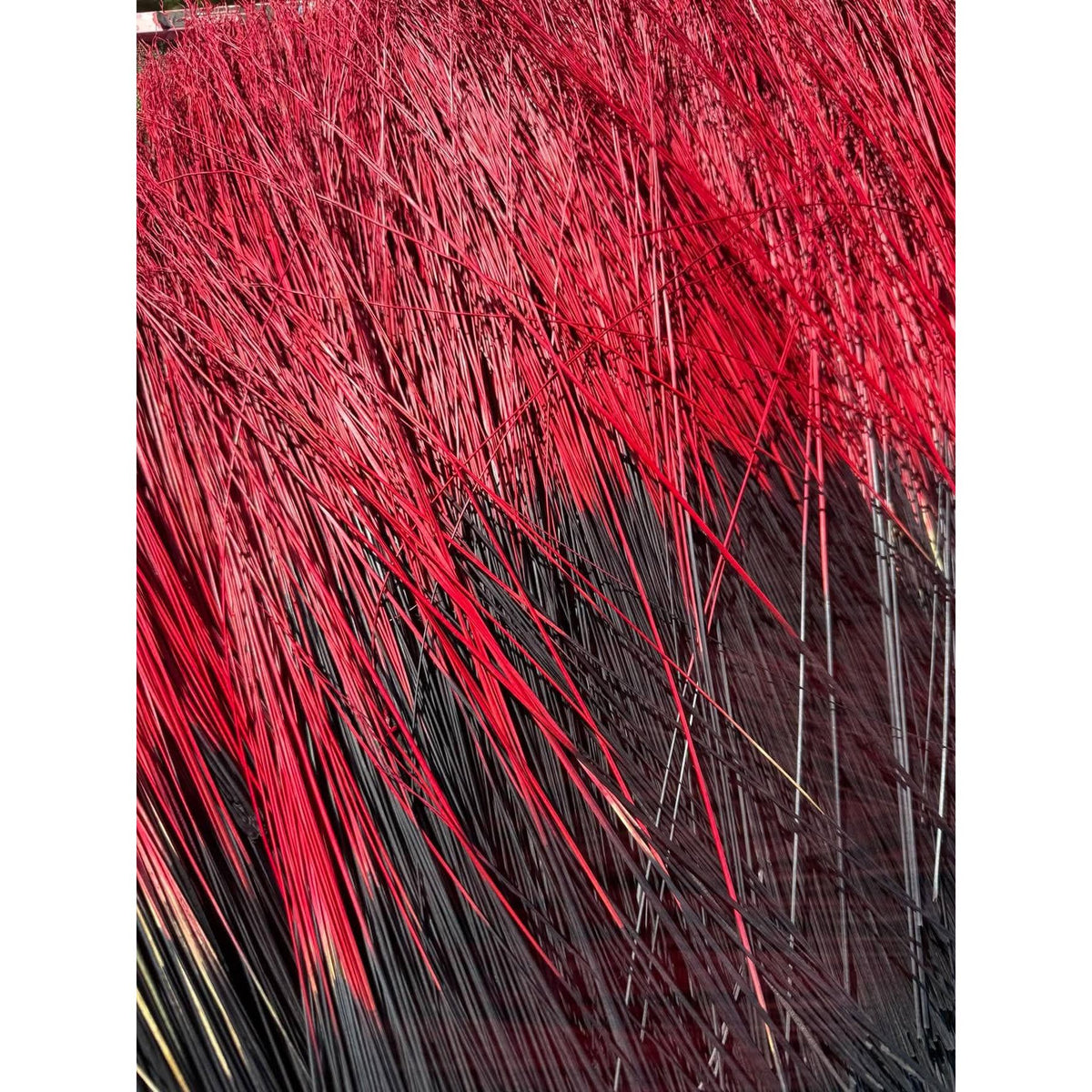 BADASS DYED BROOMCORN