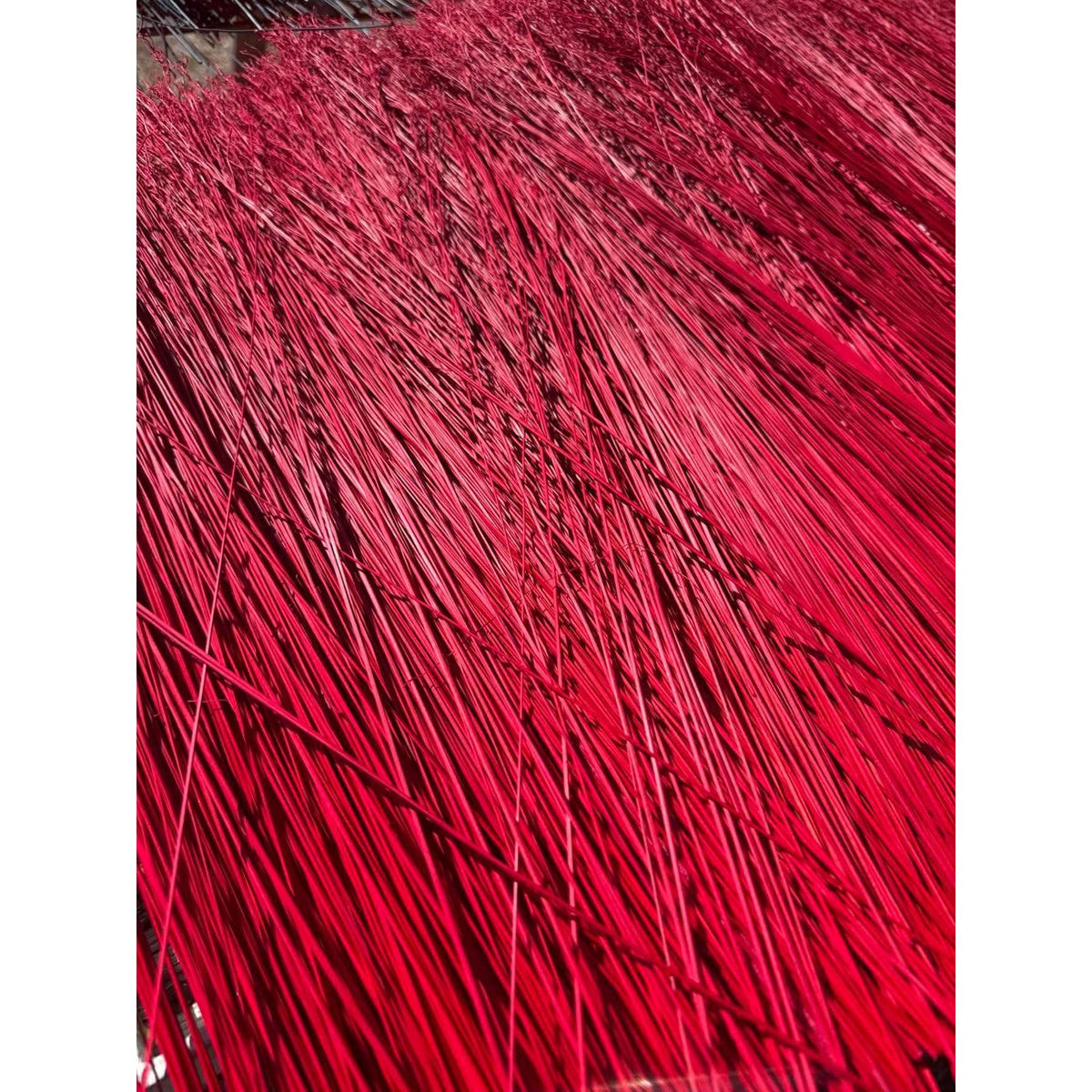BADASS DYED BROOMCORN