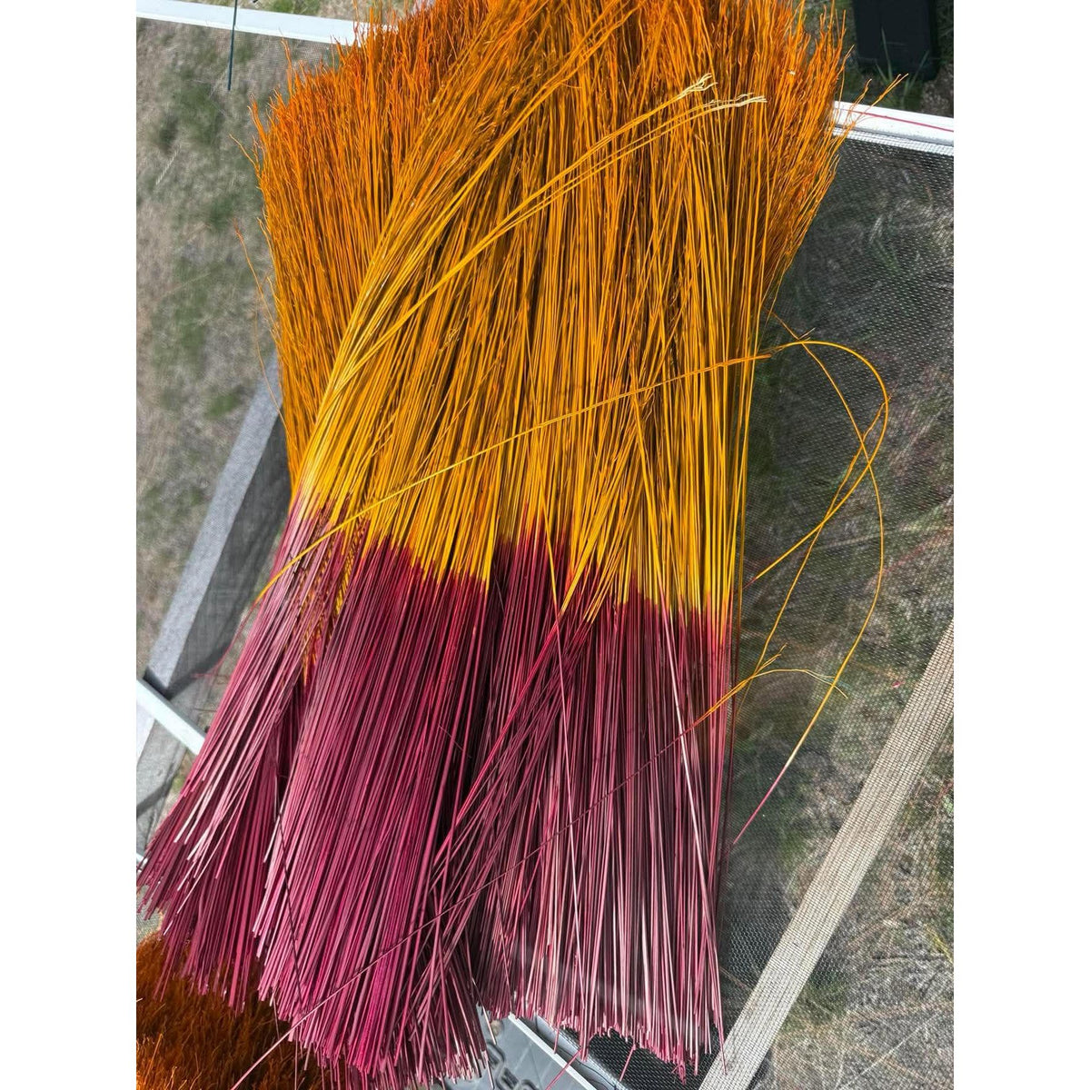 BADASS DYED BROOMCORN