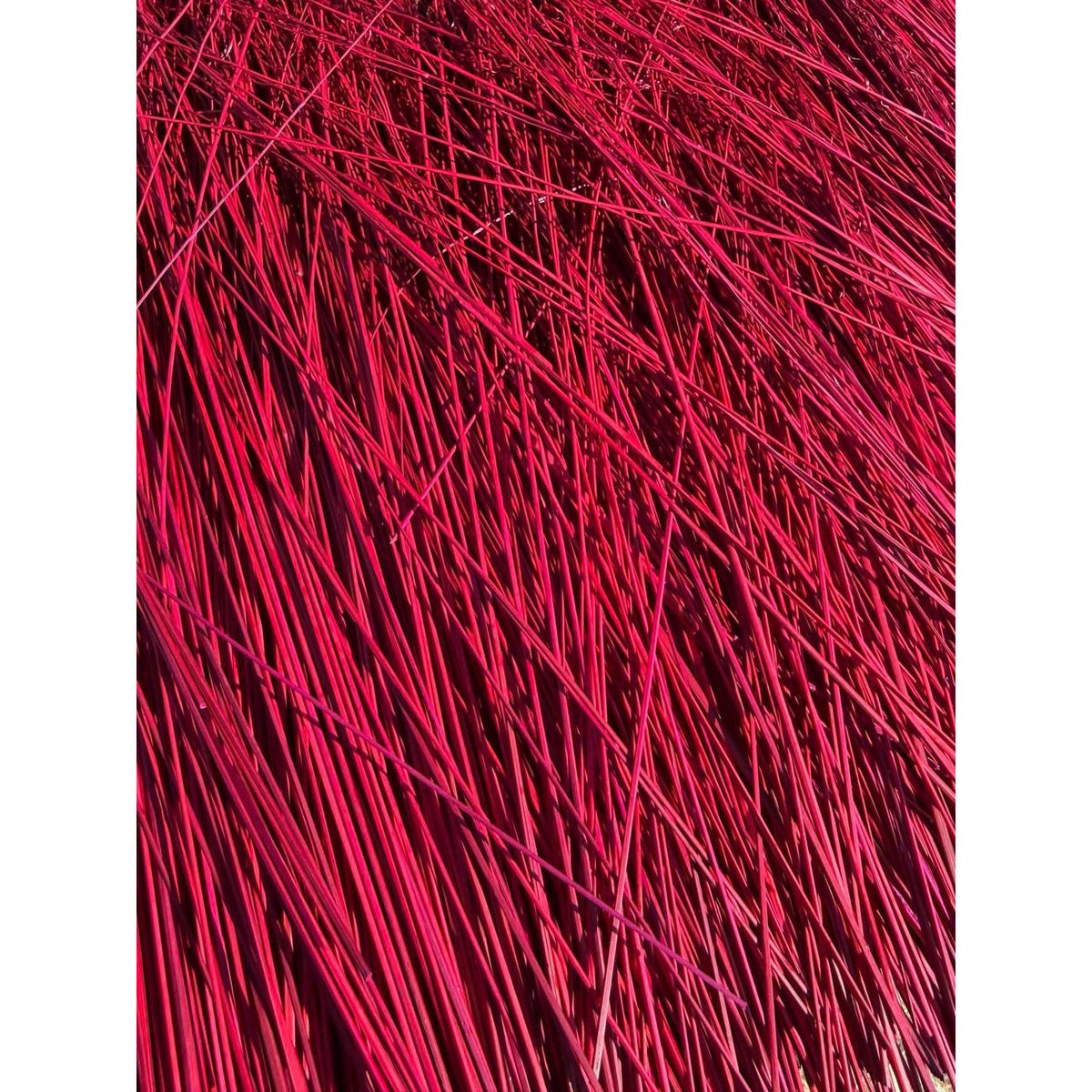 BADASS DYED BROOMCORN