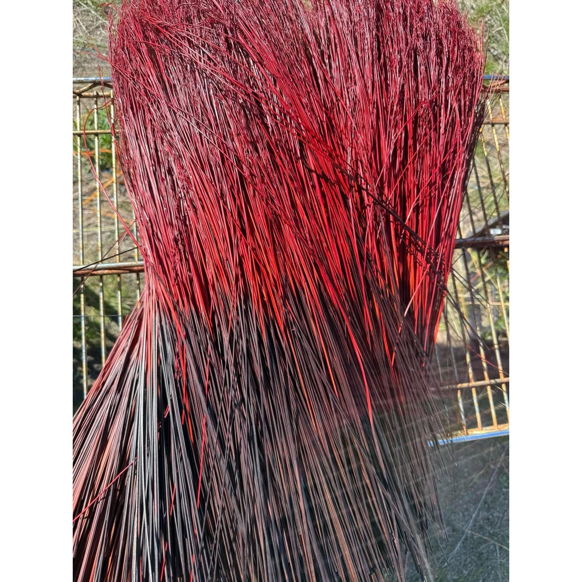 BADASS DYED BROOMCORN