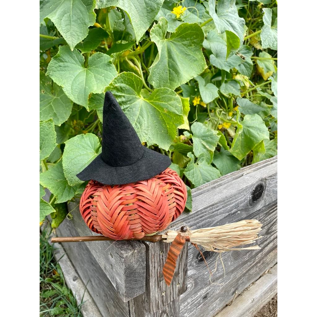 Witch  Pumpkin?