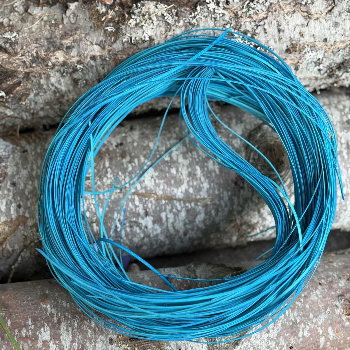 Turquoise 2.55 Hamburg Cane One Pound