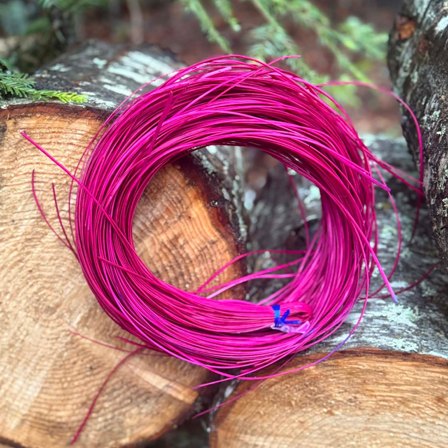 Hot Pink Hamburg Cane