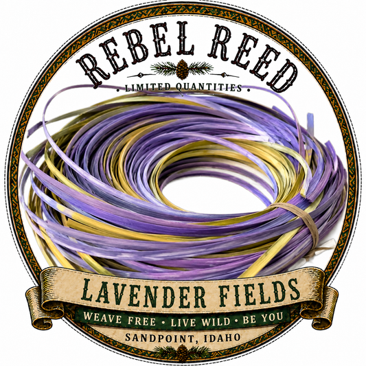 REBEL REED: Lavender Fields