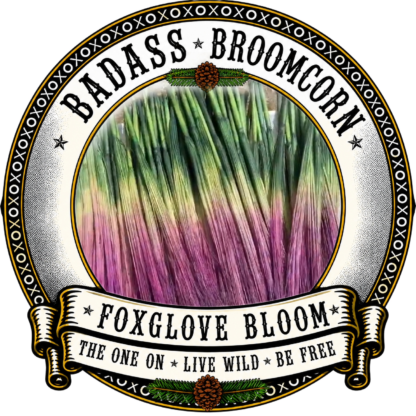 BADASS DYED BROOMCORN