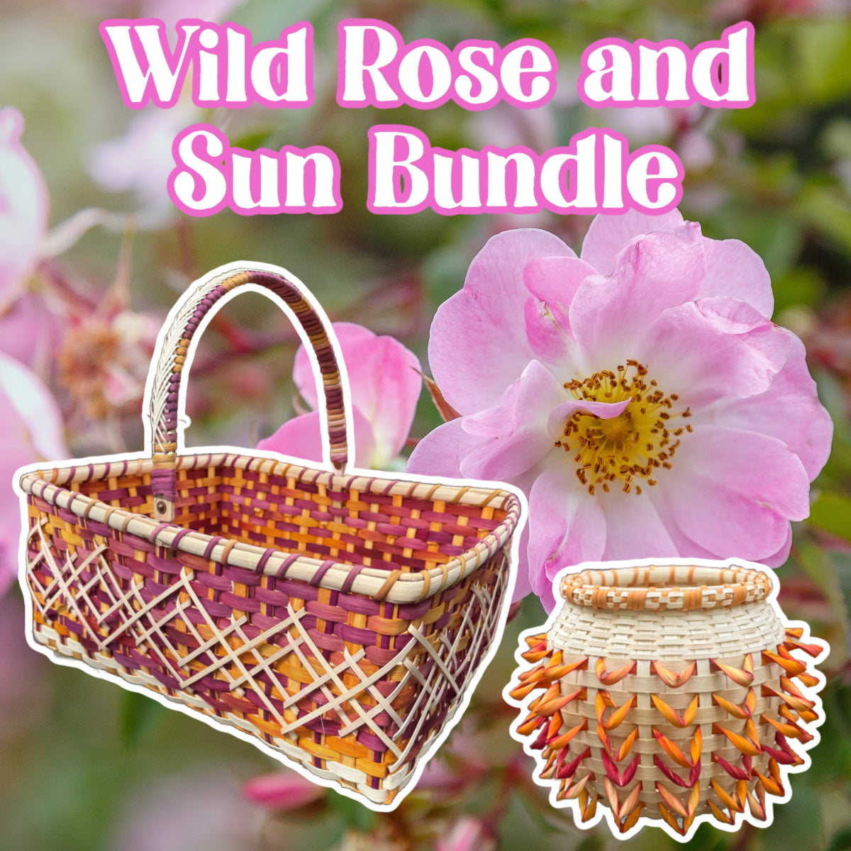 Wild Roses and Sun Bundle