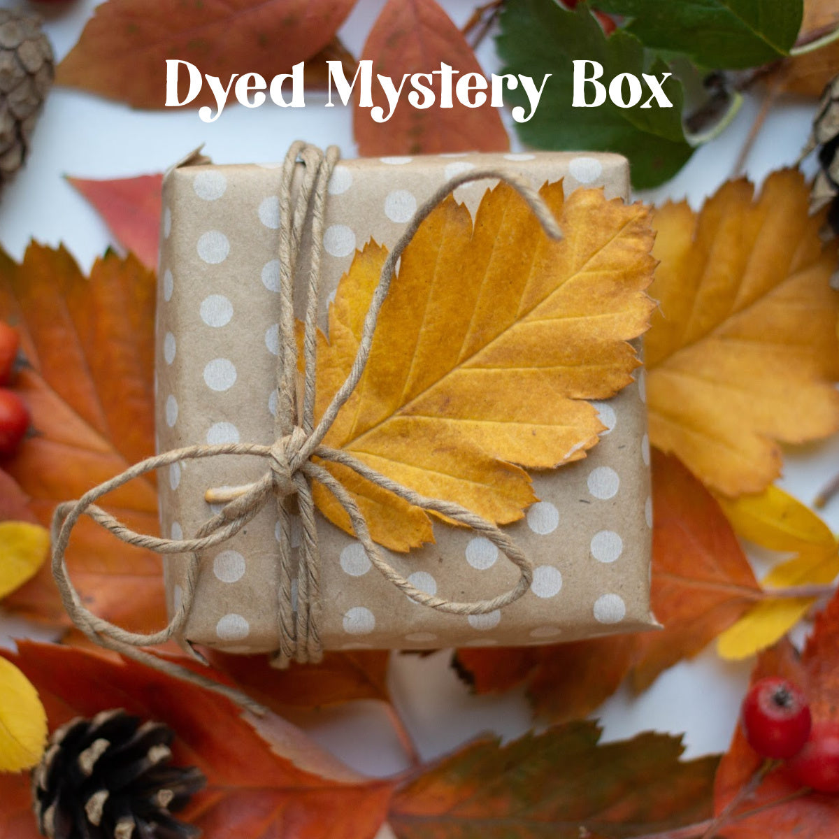 Mystery Reed Box