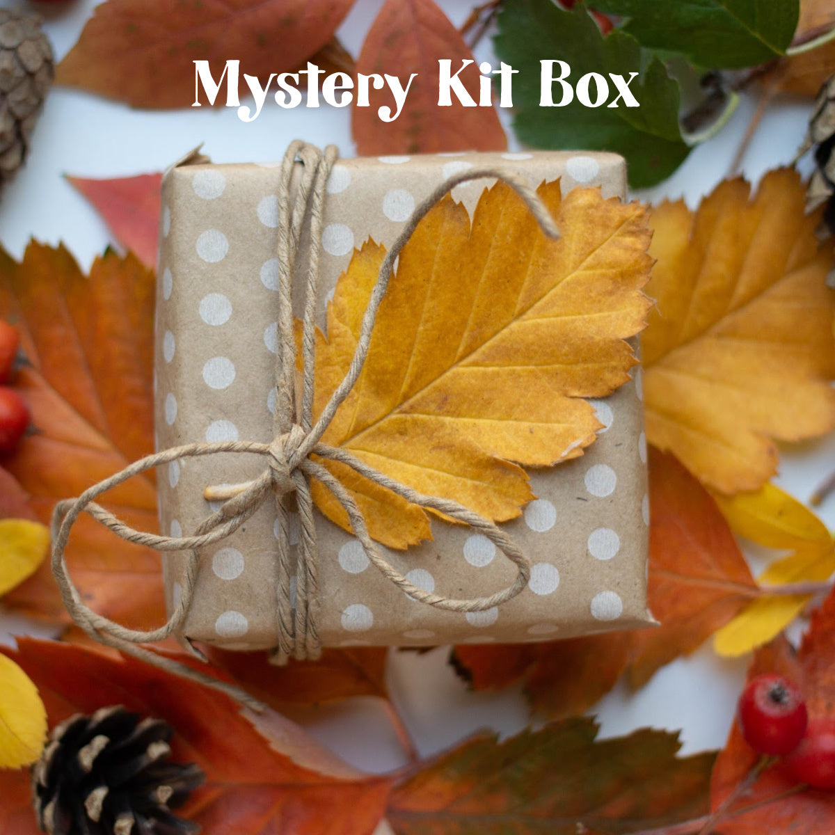 Mystery Kit Box