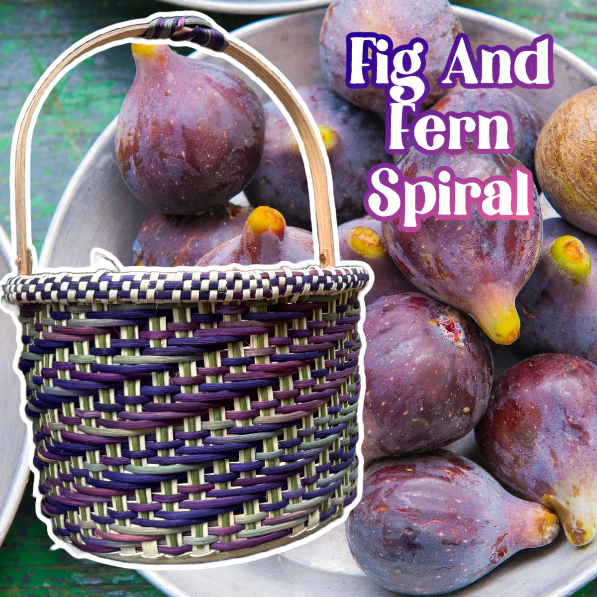 Fig and Fern Spiral