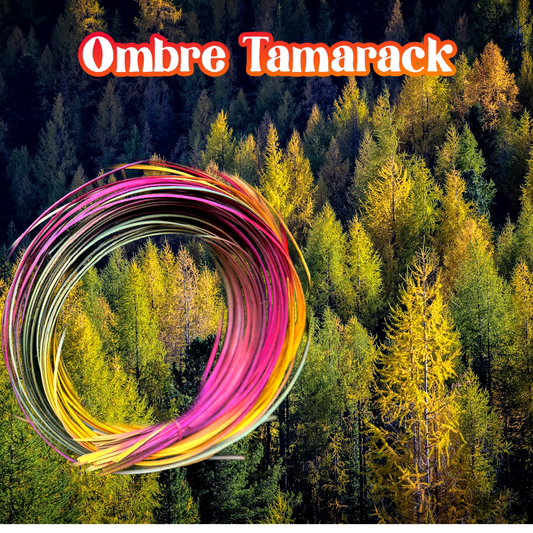 Dye House Rocks: Ombre Tamarack Hamburg Cane